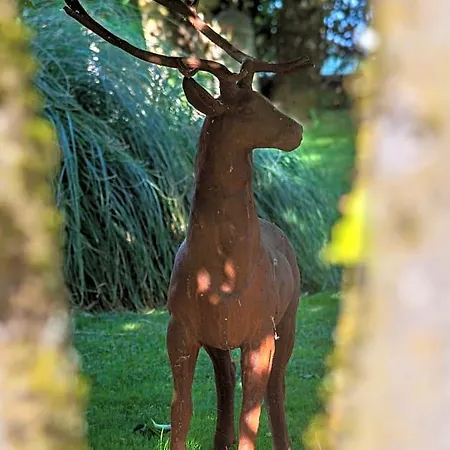 Le Clos D'albray - D'hotes Et Bed and Breakfast Comps-la-Grand-Ville